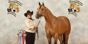 brown horse next to trophy with rider standing next to the horse