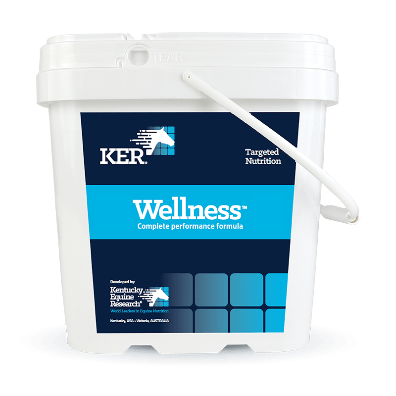 wellness ker product